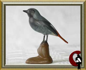 Common redstart - Phoenicurus phoenicurus
